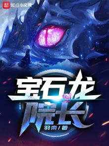 宝石龙小说