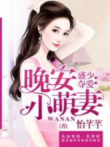 盛少夺爱:晚安小萌妻全文阅读