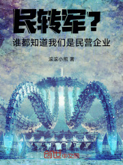 民转军谁都知道我们是民营企业笔趣阁