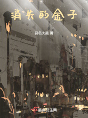 消失的金子经典视频