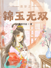 清穿之锦玉无双小说免费...