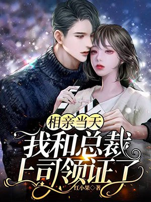 相亲当天,我和总裁上司领证了 红小果
