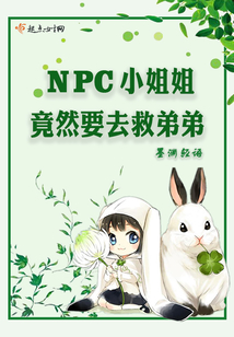npc:姐要睡女主