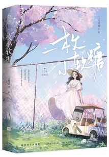 一枚小软糖讲的什么
