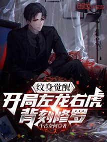 神纹觉醒:开局左龙右虎背刻修罗