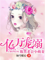 小说 腹黑老公小萌妻