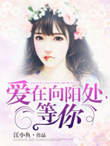 爱在向阳处等你全文阅读