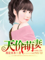 天价萌妻娶一送一免费阅读全文