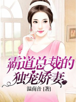 霸道总裁的独宠娇妻小说全文免费阅读