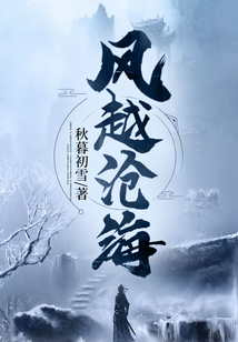 风越沧海TXT