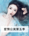 爱情公寓第五季