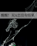醒醒!双A恋没有结果