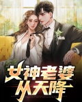 女神老婆从天降