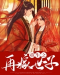 重生之再嫁世子