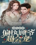 闪婚后,我被偏执霍爷宠上天