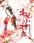 一胎二宝:弃妃小神医